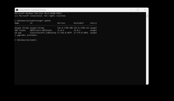 Screenshot of Windows Package Manager WINGET